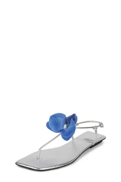 Sale BIG-ISLAND Flat