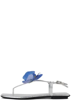 Sale BIG-ISLAND Flat