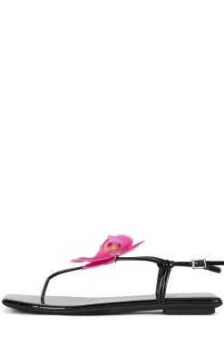 Sale BIG-ISLAND Flat