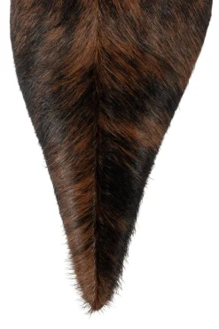 Discount PROPOSAL-F Knee High