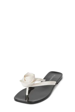 Cheap SO-SWEET Jellies|Flat