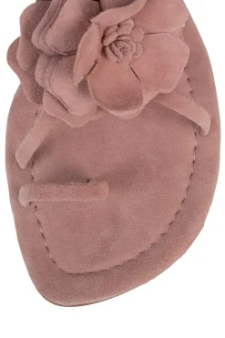 Discount TROPICO Flat