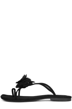 Discount TROPICO Flat