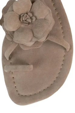 Discount TROPICO Flat