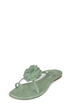 Discount TROPICO Flat