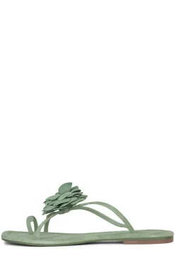 Discount TROPICO Flat