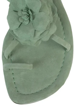 Discount TROPICO Flat