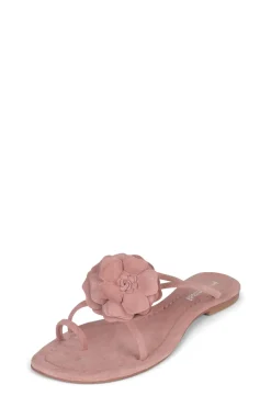 Discount TROPICO Flat